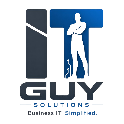 IT Guy SA logo